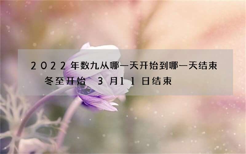 2022年数九从哪一天开始到哪一天结束 冬至开始 3月11日结束
